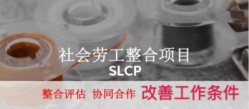 SLCP驗(yàn)廠咨詢?nèi)馕?蘇州綠加環(huán)保的技術(shù)支持與高清圖像應(yīng)用